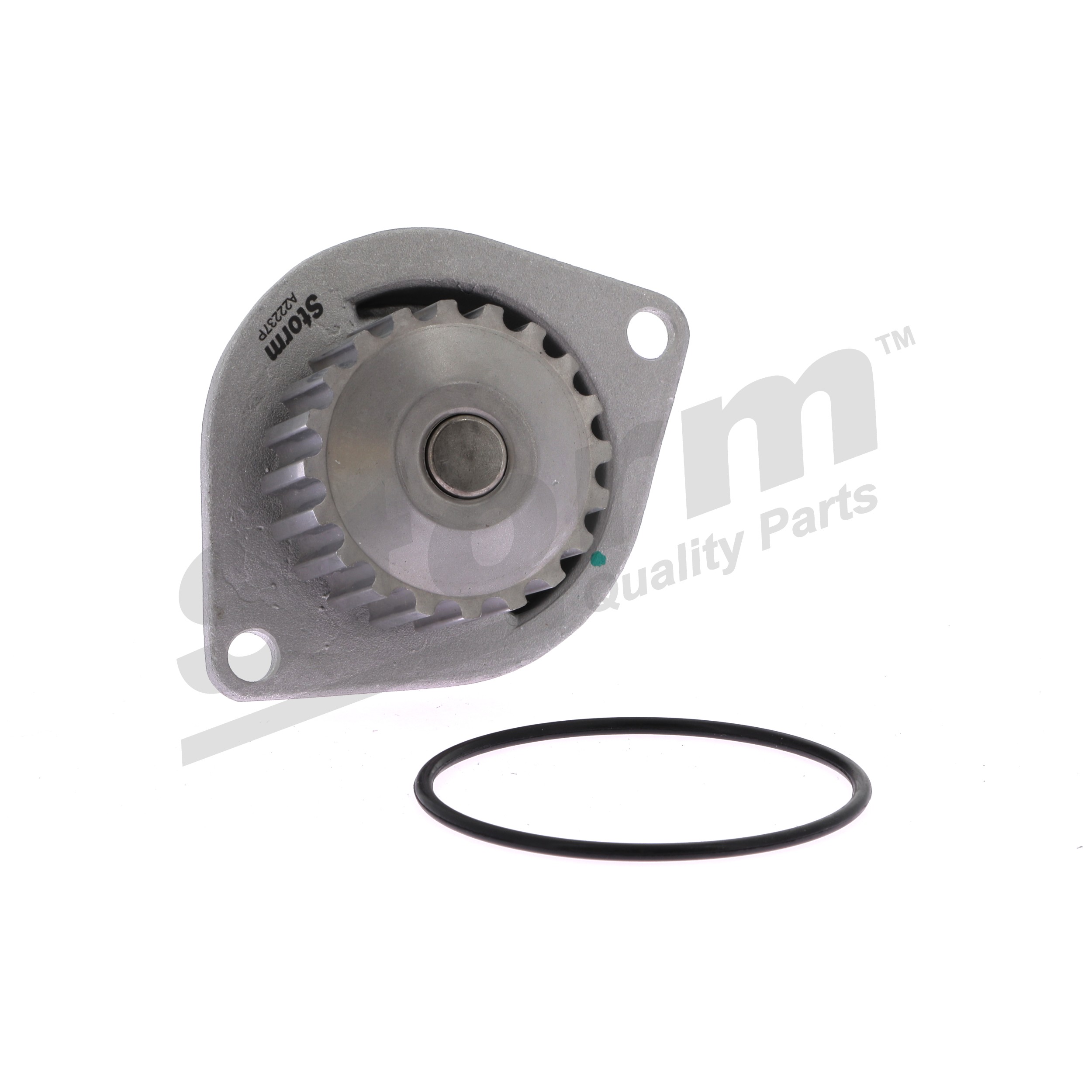 STORM QUALITY PARTS CST111 Wasserpumpe Wasserpumpe CST111 STORM QUALITY PARTS E111482 VW, PEUGEOT, NISSAN, CITROЁN, ROVER