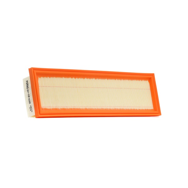 16885427 Filtre à pollen PURRO coût