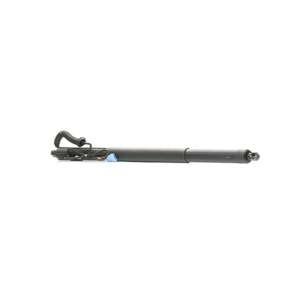RIDEX 219G1033 Heckklappendämpfer