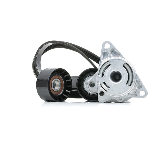 Kit Cinghie Poly-V 82 00 761 529 STARK SKRBS-1200702 OPEL, RENAULT, NISSAN, DACIA, RENAULT TRUCKS