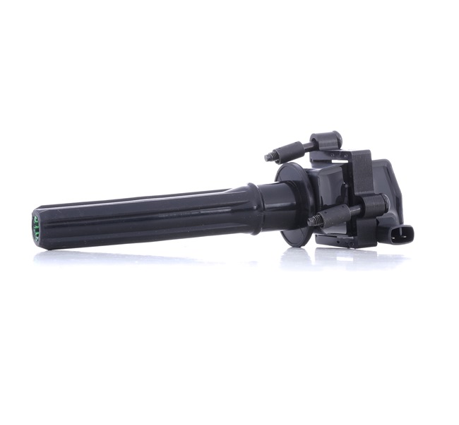 16893308 RIDEX 689C0422 Bobina de inductie Chrysler Sebring 3 preț
