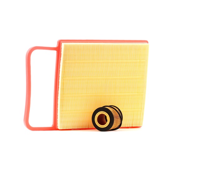 Elemento de filtro RIDEX 4055F1200