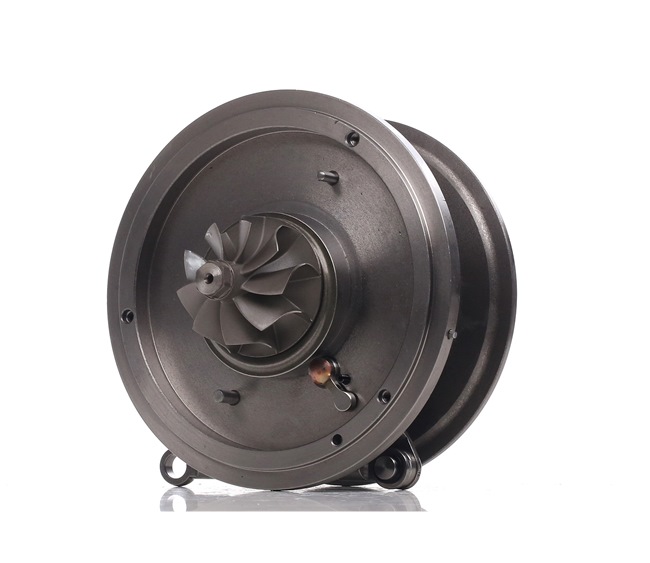 16907095 RIDEX 4973C0136 Turbo Ford Tourneo Custom Minibuss pris