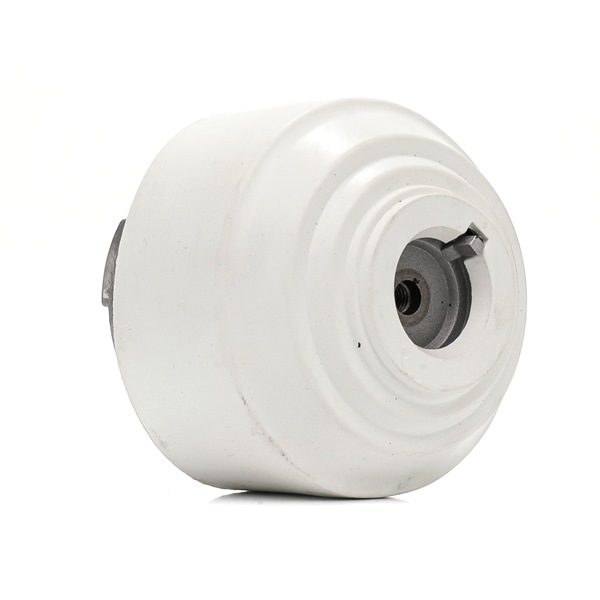 RIDEX 247E0755 Motorlager