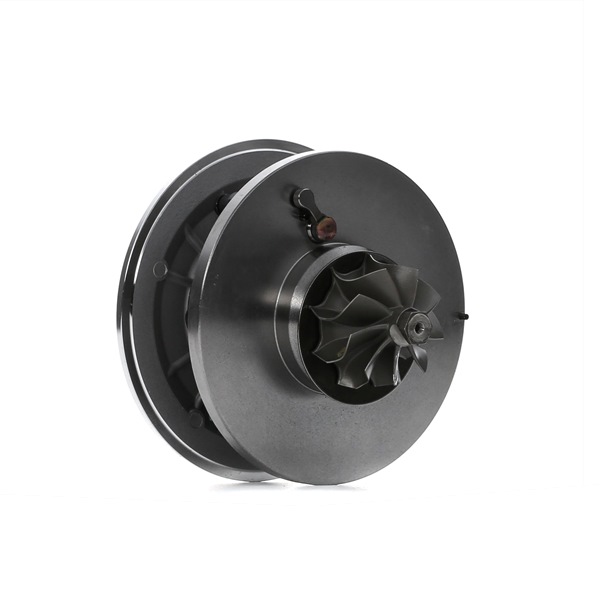 16916620 RIDEX 4973C0169 Турбо Ford Transit Mk5 Микробус цена