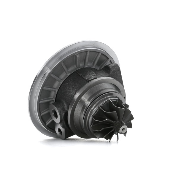 16932147 RIDEX 4973C0192 Turbo Toyota Avensis T27 pris