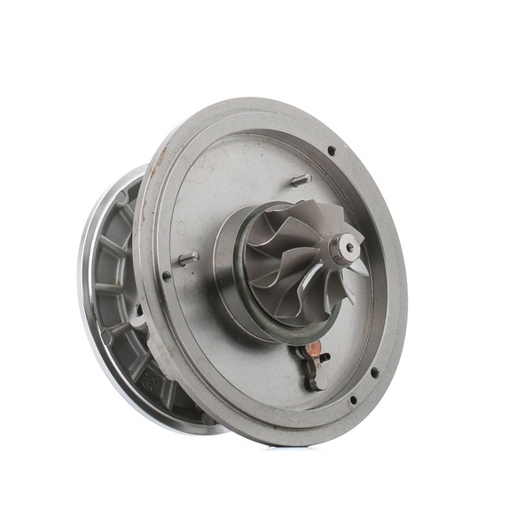 RIDEX 4973C0200 Cartouche turbo