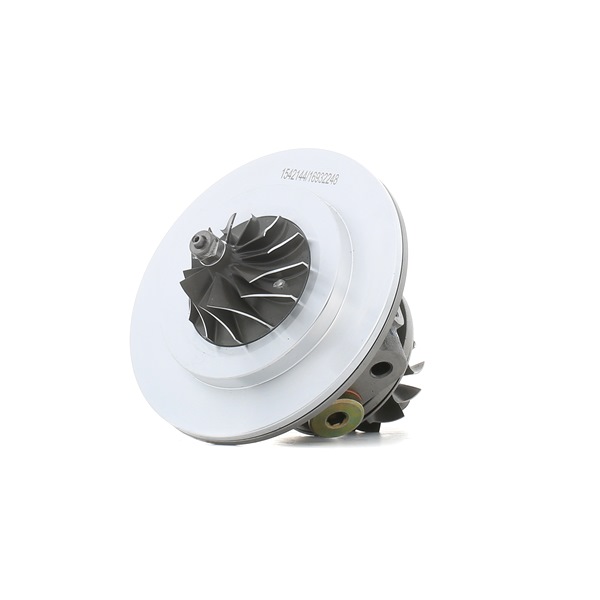Turboaggregat RIDEX 4973C0204