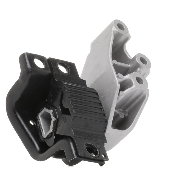 RIDEX 247E0768 Motorkudde