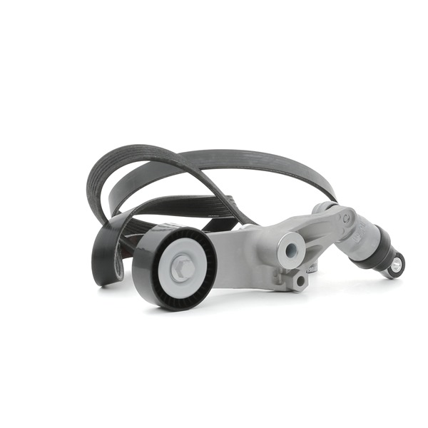 Keilrippenriemensatz SKRBS-1200708 STARK 6C1Q6C301CC FORD, FORD USA