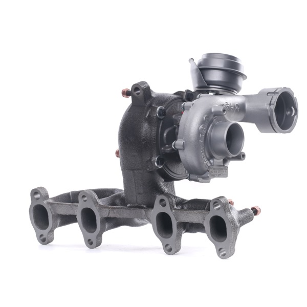 Turbo RIDEX REMAN 2234C10117R