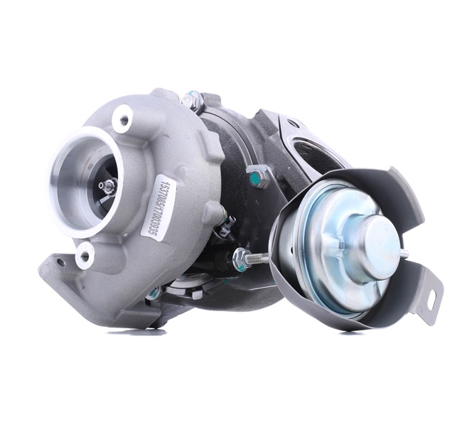 Turboahdin RIDEX 2234C10693