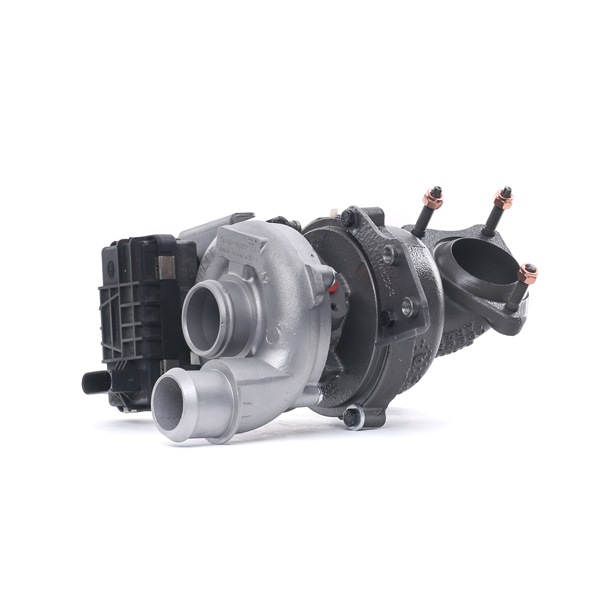 Turbo RIDEX REMAN 2234C10619R