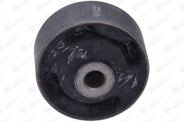 Lagerung, Lenker 20063 BIRTH 96431044 OPEL, KIA, CHEVROLET, DAEWOO, VAUXHALL