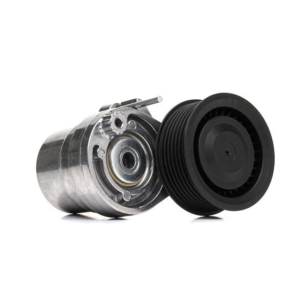 17154781 RIDEX 310T0531 SMART Remstrammerhjul pris