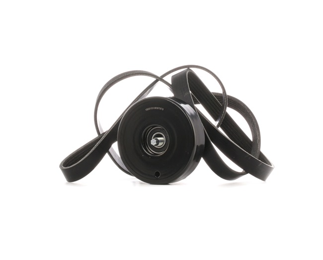 Keilrippenriemensatz 542R0731 RIDEX 00A903341 VW, MERCEDES-BENZ, AUDI, SKODA, SEAT