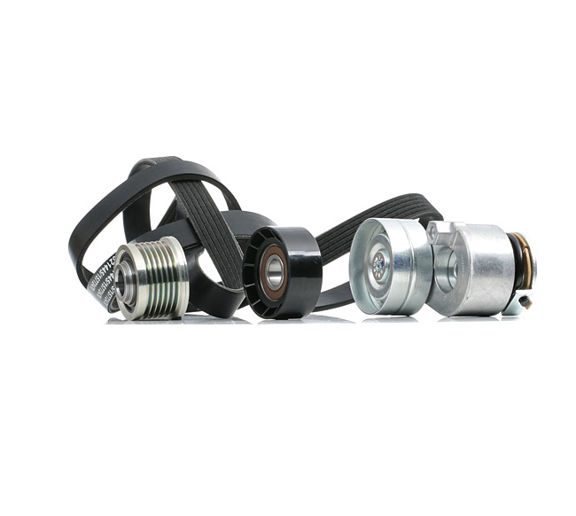 Multi-V-riem RIDEX 542R0732
