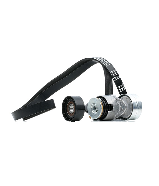 Dynamoriem RIDEX 542R0733