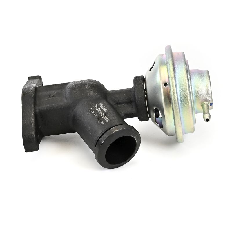 17225591 originale Agr ventil DELPHI C5