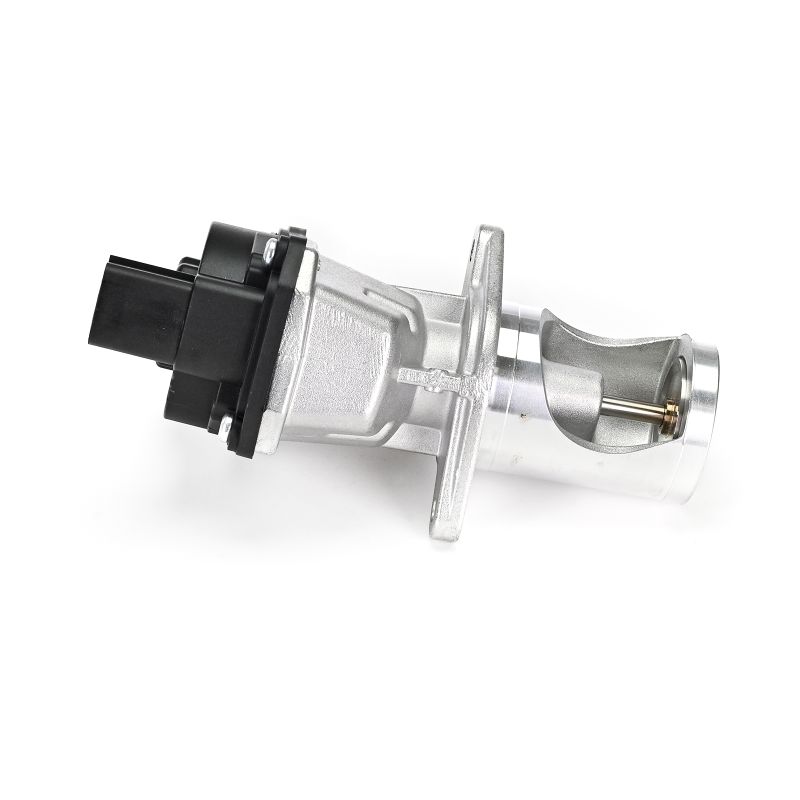 17225619 EGR DELPHI Audi A4 kosten