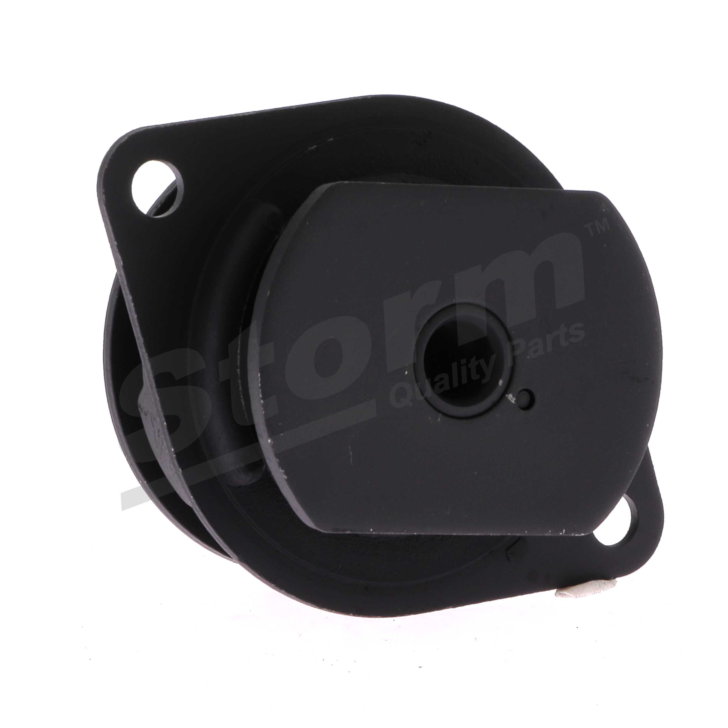Motorlager F10507 STORM QUALITY PARTS 7587675 FIAT, ALFA ROMEO, LANCIA, INNOCENTI