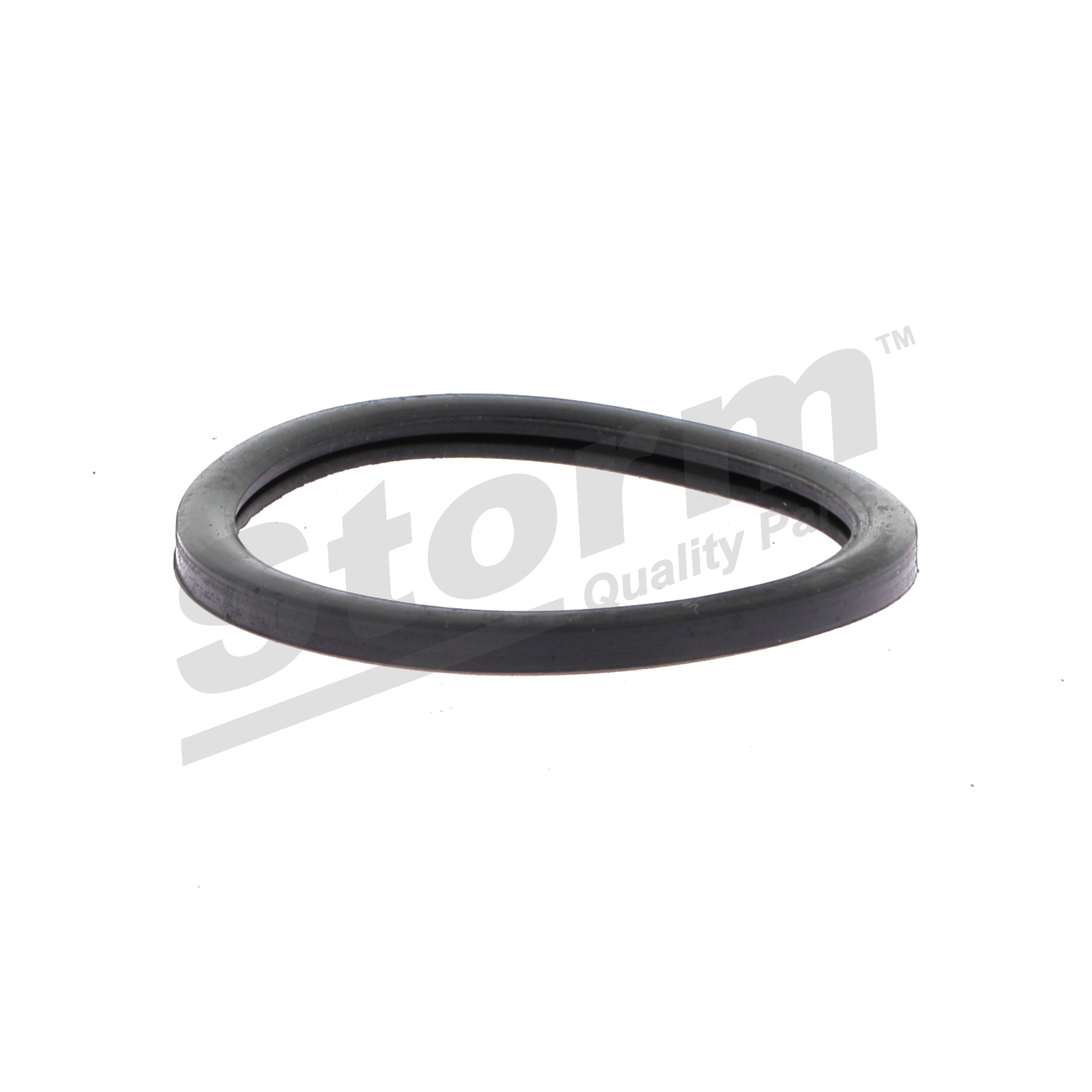 STORM QUALITY PARTS F1762 Kühlwasserabdichtung RENAULT CLIO 1.4 16V 95 PS Benzin