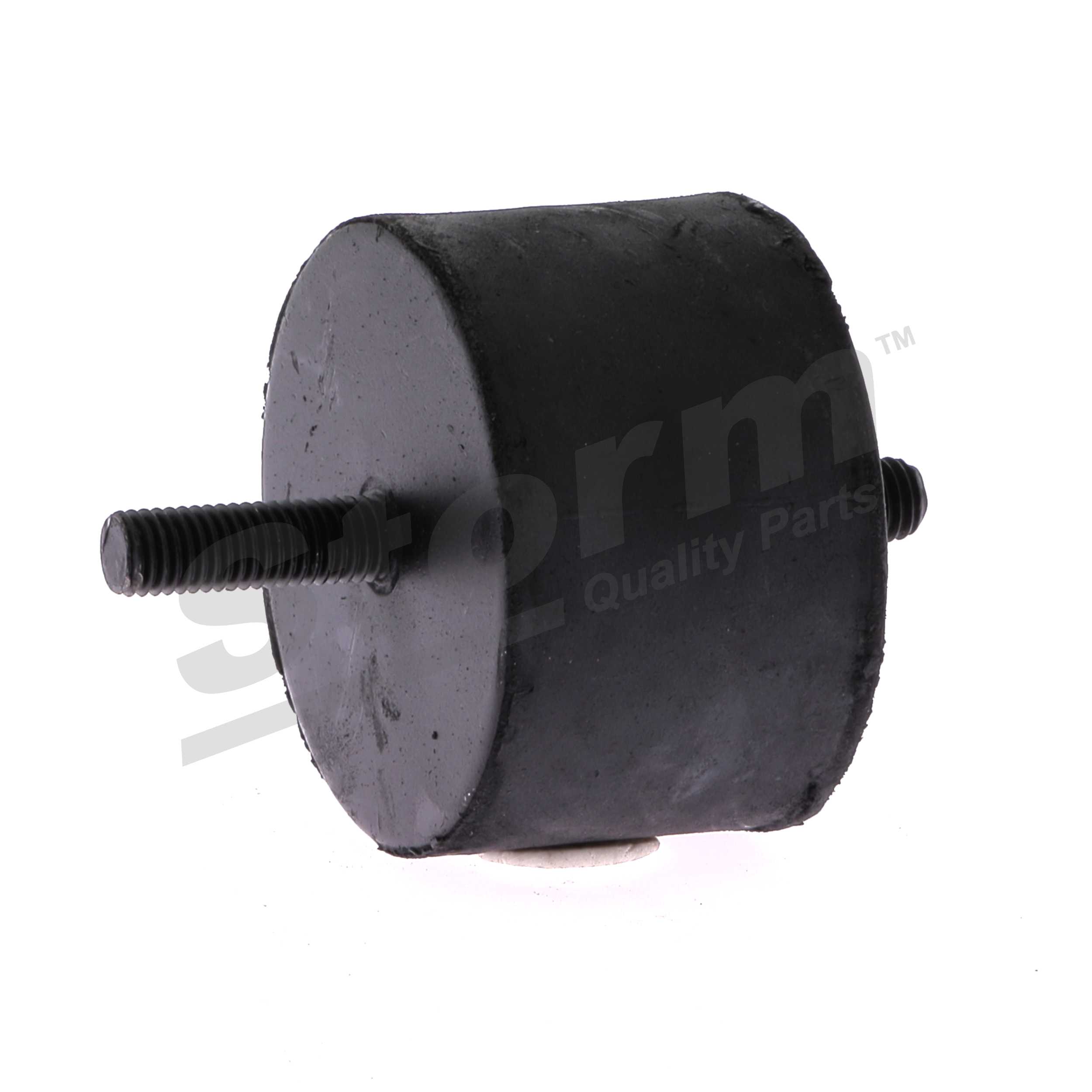 Motorlager F2575 STORM QUALITY PARTS 1175212 BMW