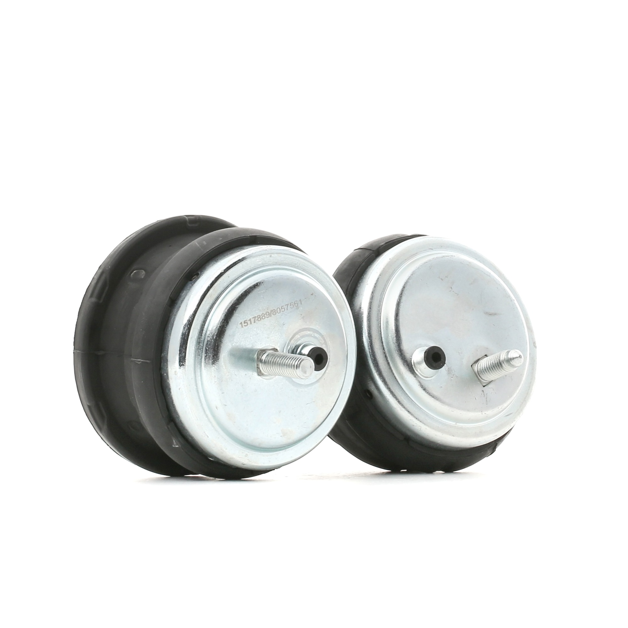 RIDEX 247E0799 Zaveseni motoru