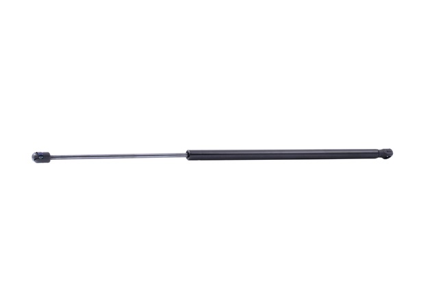 RIDEX 219G1061 Heckklappendämpfer