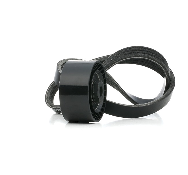 Keilrippenriemensatz 7701478933 RIDEX 542R0837 RENAULT, DACIA, RENAULT TRUCKS
