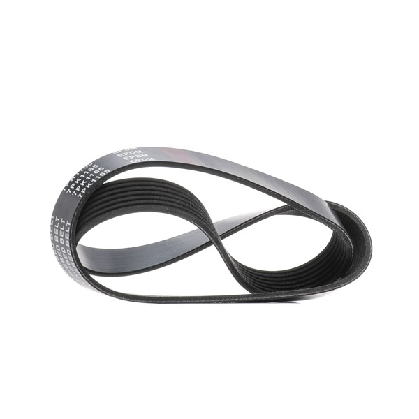 Courroie Poly-V 117203VU0A RIDEX 305P0571 NISSAN