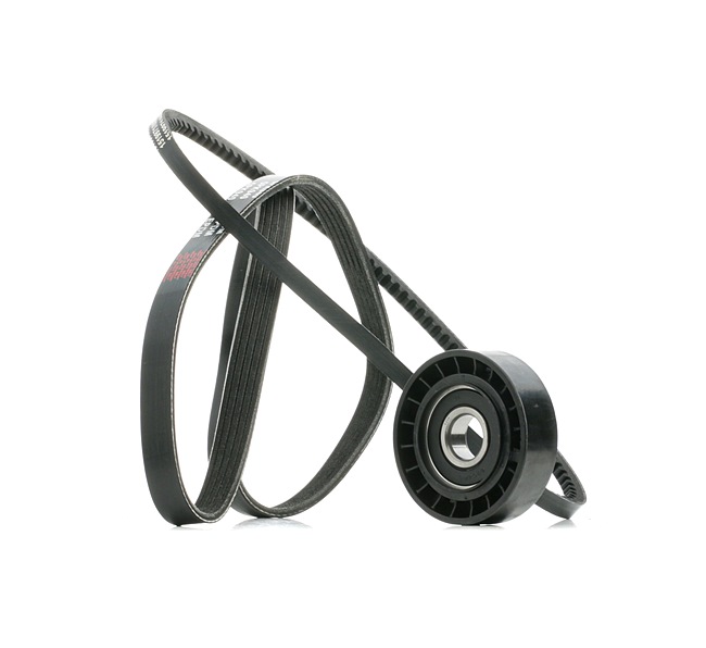 17361731 RIDEX 542R0867 replacement Fiat Tempra 159 poly v-belt kit price