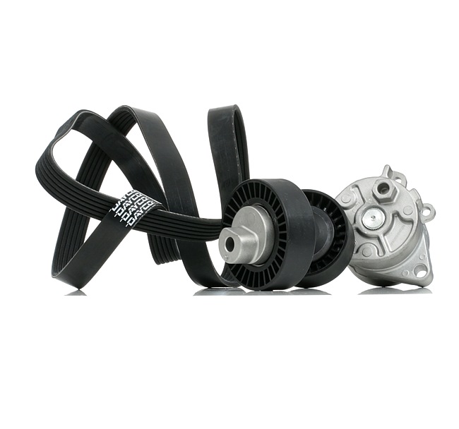RIDEX 542R0913 Keilrippenriemensatz