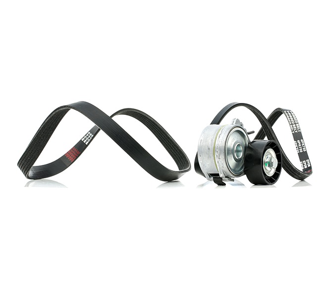 RIDEX 542R0931 Jeu de courroies trapézoïdales à nervures