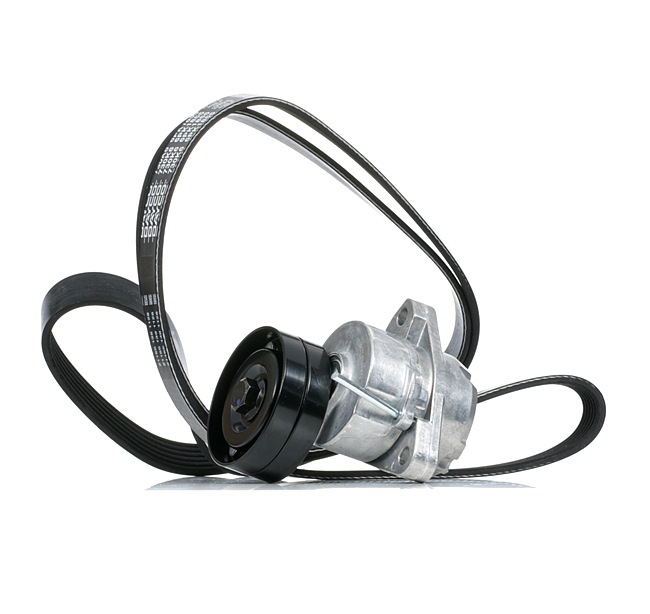 RIDEX 542R0933 Keilrippenriemensatz