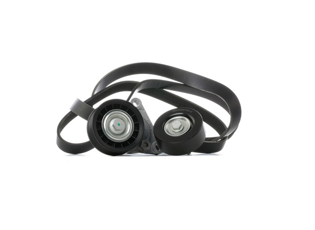 RIDEX 542R0950 Jogo de correias trapezoidais estriadas