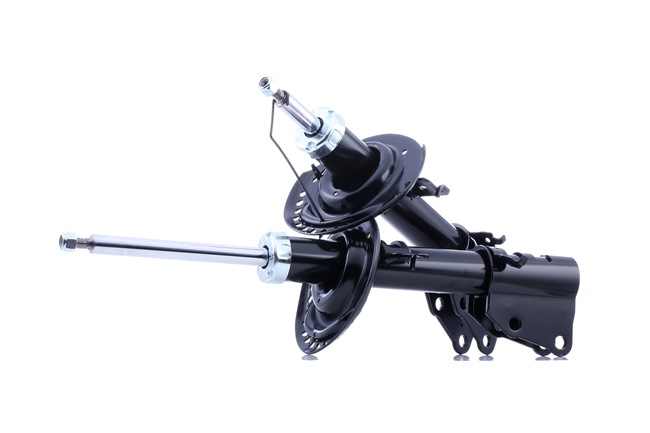 Suspension dampers RIDEX 854S18224
