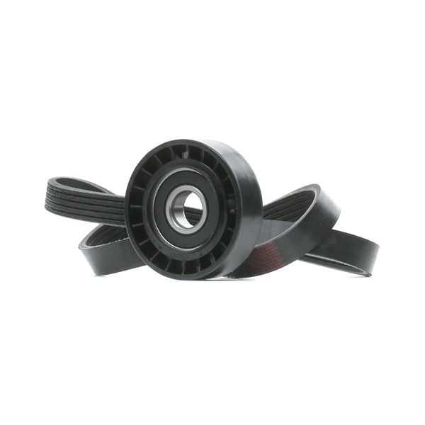 Poly-V-snaar RIDEX 542R0969