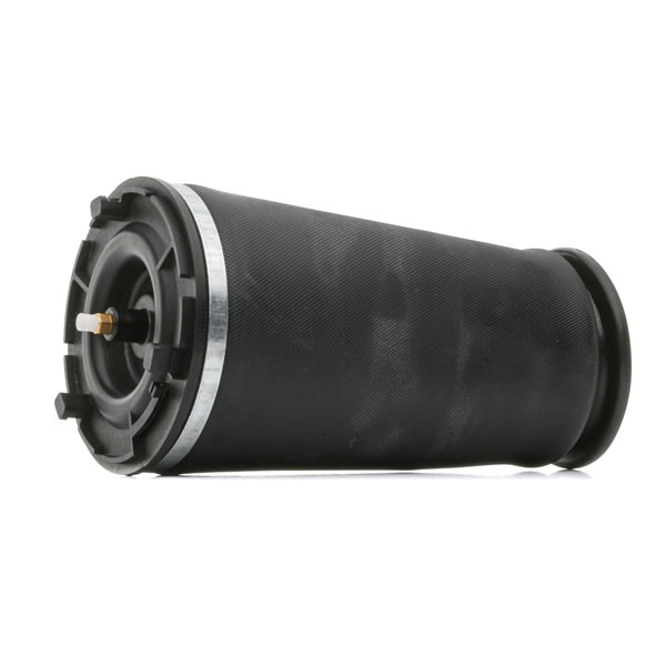 Air Spring, suspension 25815604 RIDEX 4119A0094 CHEVROLET, SAAB, GMC, LINCOLN, BUICK