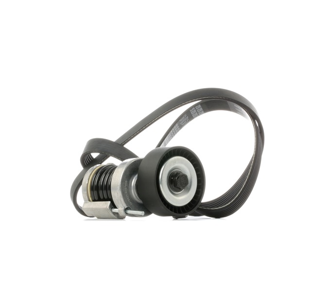Пистови ремъци RIDEX 542R1019