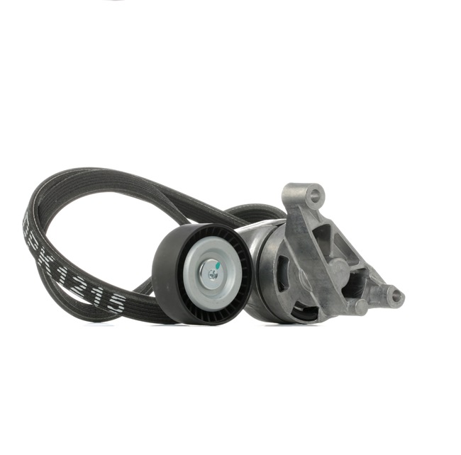 RIDEX 542R1022 Jeu de courroies trapézoïdales à nervures