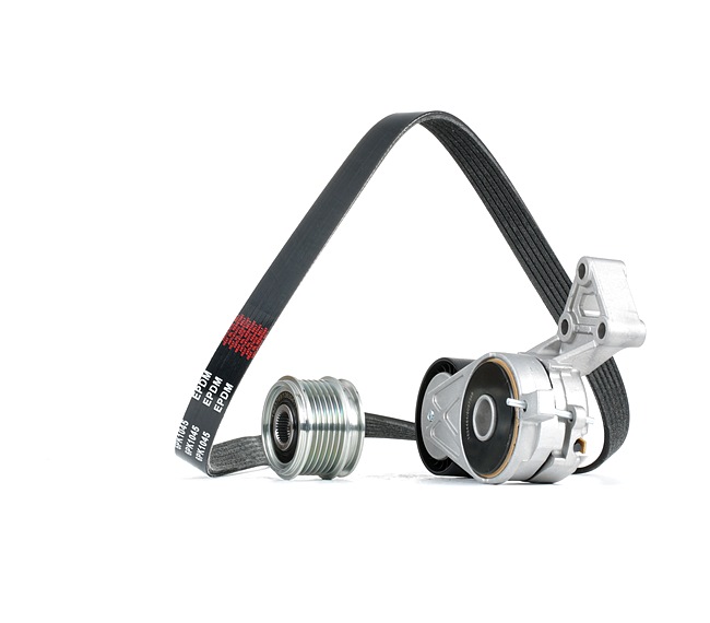 Kit cinghia servizi RIDEX 542R1030