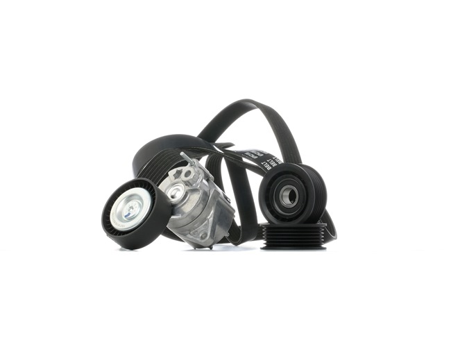 RIDEX 542R1031 Rillenriemen MERCEDES-BENZ C-Klasse C 220 CDI 143 PS Diesel
