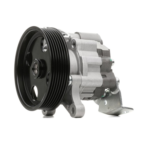 17371665 RIDEX 12H0324 Pompă servo Mercedes S204 preț