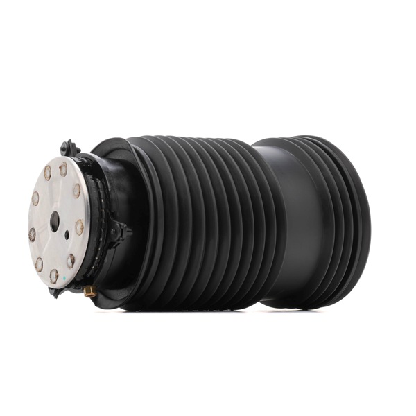 Luftfeder, Fahrwerk 4119A0104 RIDEX 2053200225 MERCEDES-BENZ, LAND ROVER
