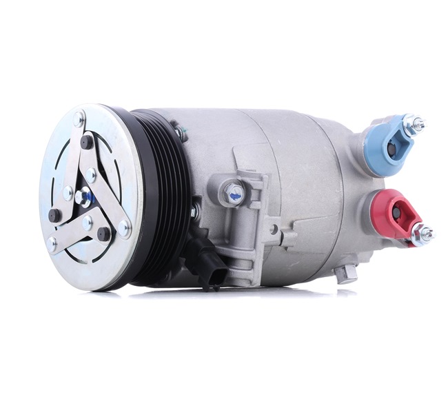 Klimakompressor 447K0658 RIDEX LR056302 FORD, VOLVO, LAND ROVER, ROVER