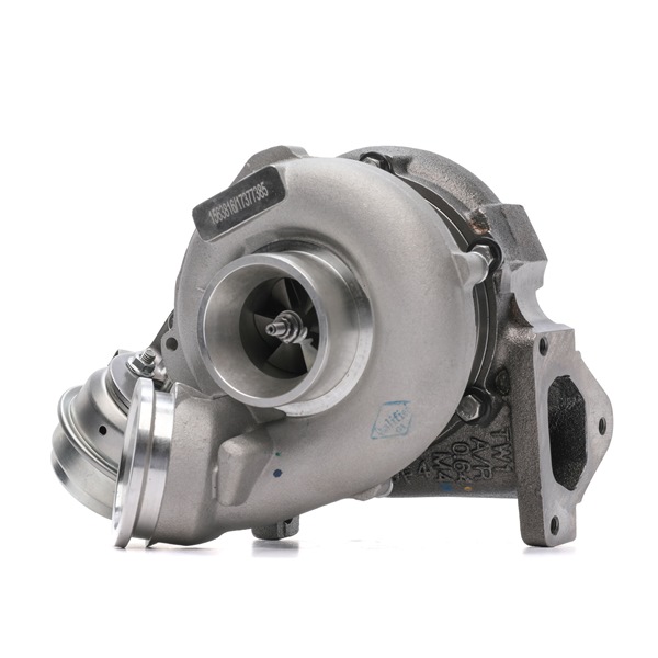 17377385 RIDEX 2234C10830 Turbo Chrysler 300c LX pris