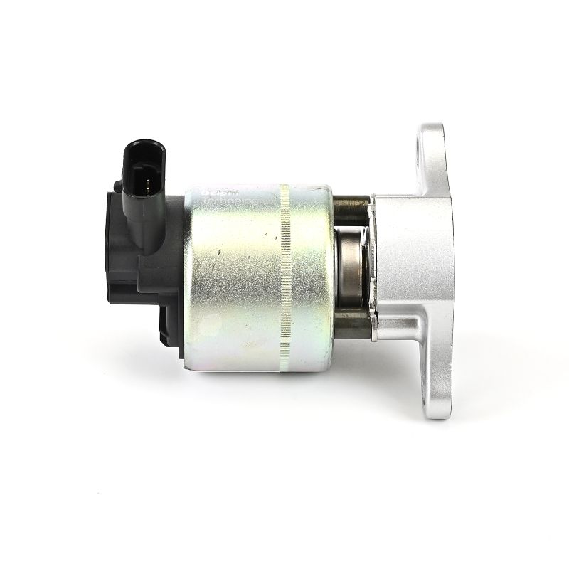 EG10015 EGR modul DELPHI OMEGA pris