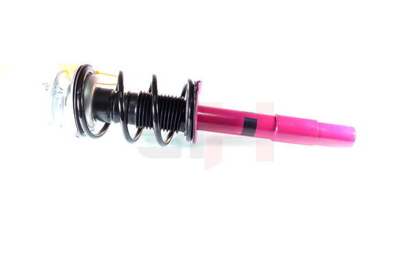 Federbein GH+351560C05 GH 6769022 BMW