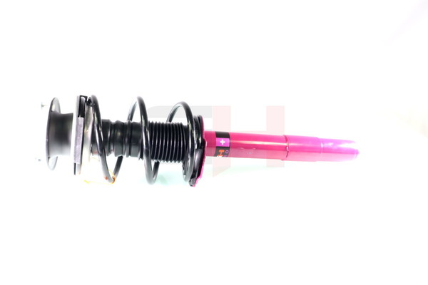 Federbein 31 33 1 093 072 GH GH+351581C01 BMW
